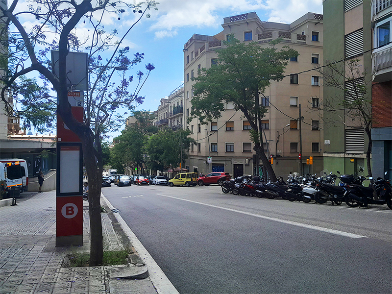 C. de Cartagena