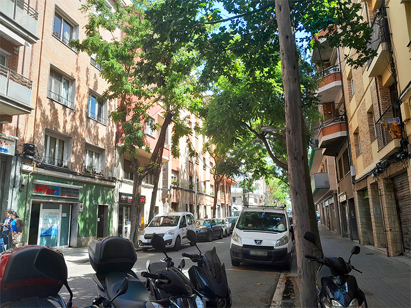 Carrer de la Renaixena