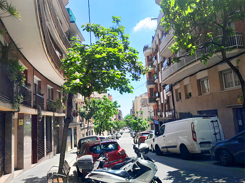 Carrer del Segle XX