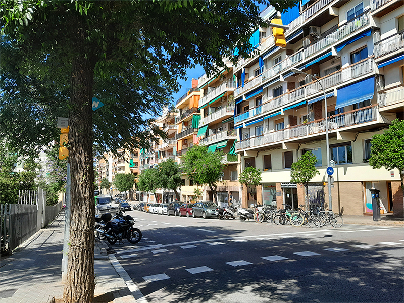 C. de les Camlies (2)