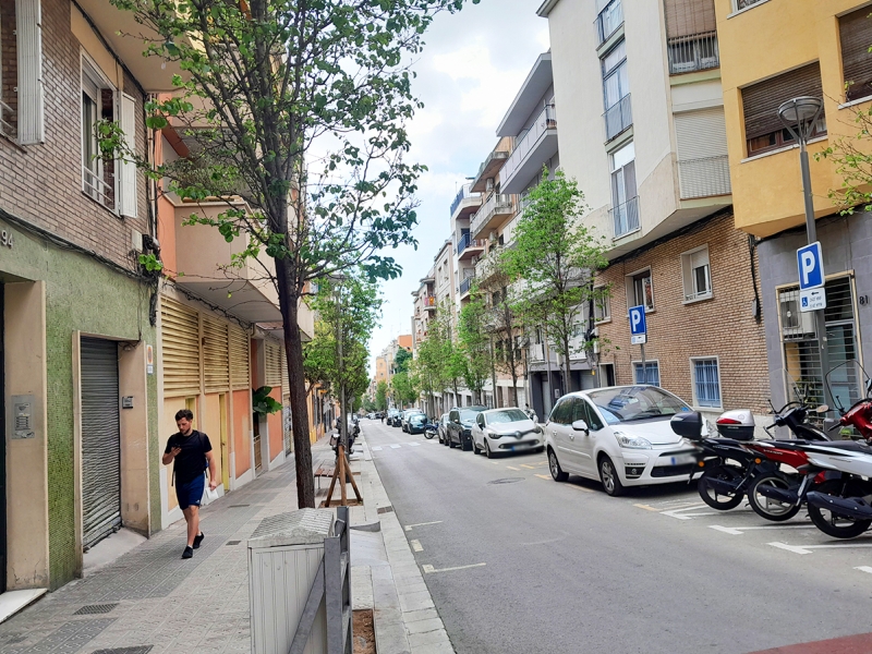 Carrer de la Torre dels Pardals (2)