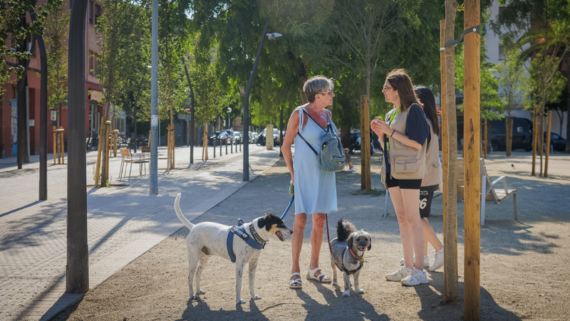 Pla Endrea Barcelona: Tinena Responsable i Convivncia Urbana