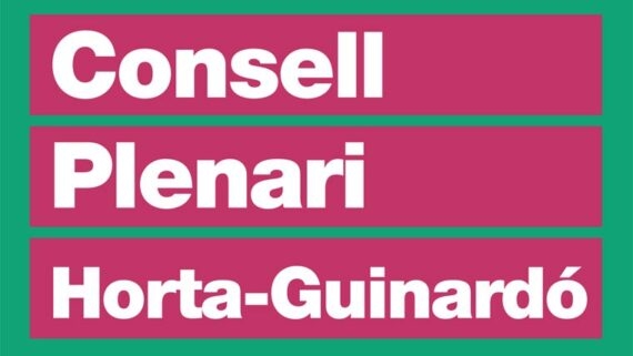 Sessions presencials i virtuals per participar al Consell Plenari de Horta-Guinard