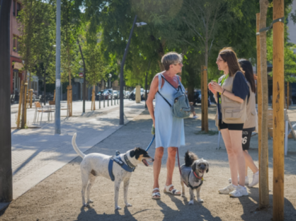 Pla Endreça Barcelona: Tinença Responsable i Convivència Urbana Pla Endreça Barcelona: Tinença Responsable i Convivència Urbana