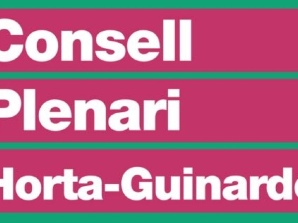 Sessions presencials i virtuals per participar al Consell Plenari de Horta-Guinard