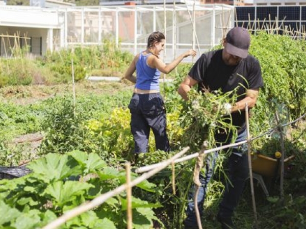 Nova temporada de tallers al Hort del Mercat